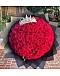 100 Roses Bouquet “Princess”